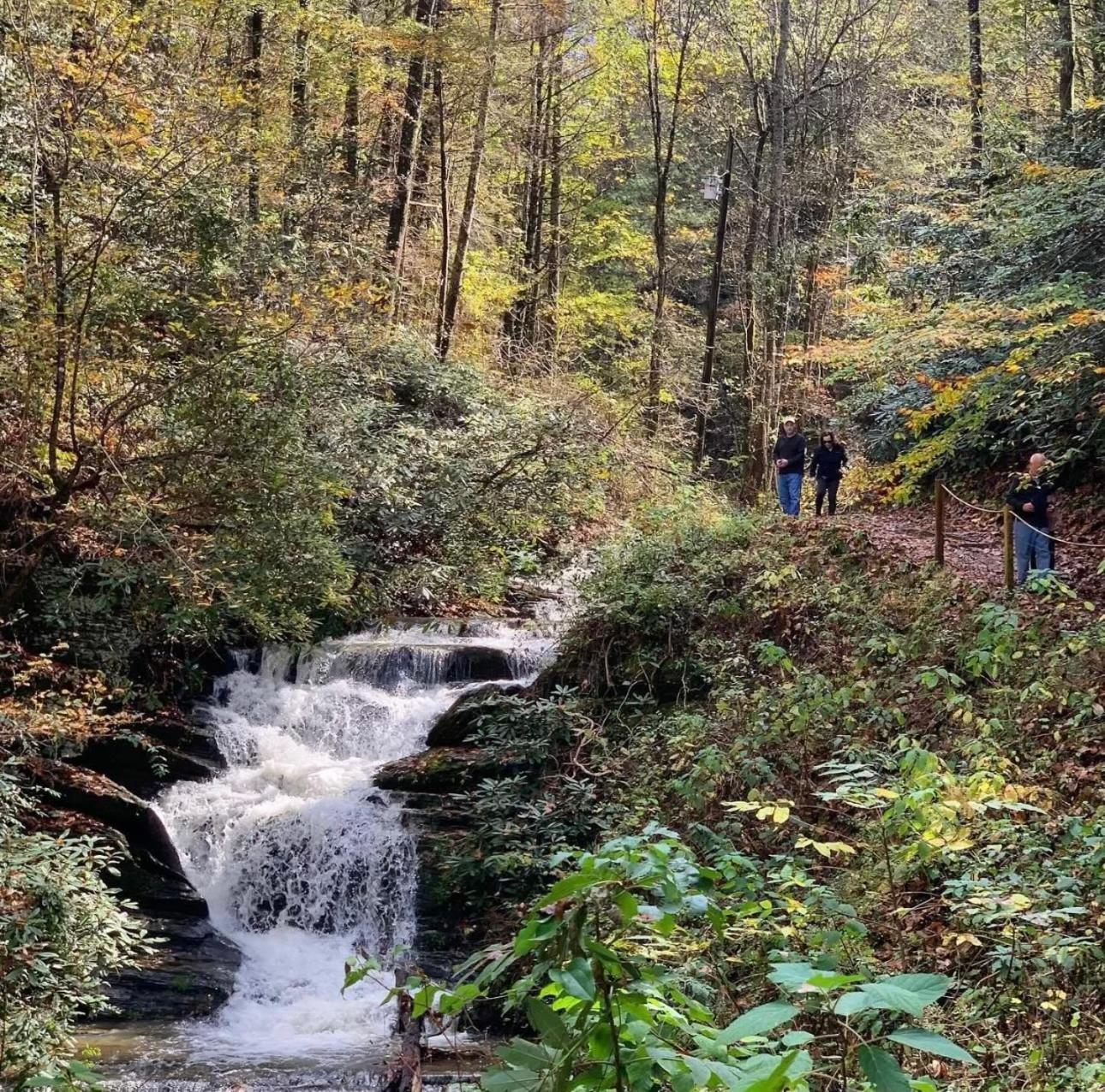 فيلا Yoli Bear Hideaway سيفيرفيل المظهر الخارجي الصورة